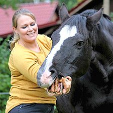 Ostepathie für Pferde Anna-Lena Gellersen